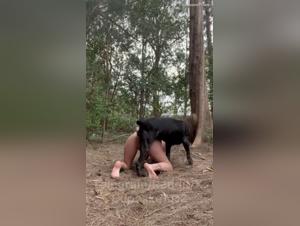 amante sauvage dog  - vidéos hardcore