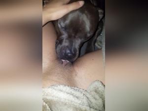 labbra sporche leccano il suo cane