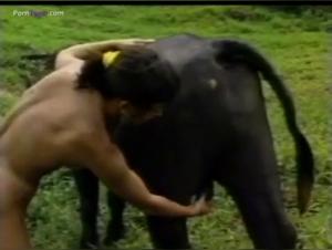 Bestiality Zoo 5: Ein extremes Sexerlebnis mit Tieren