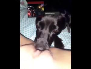 Bestiality: A woman and her dog