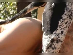 Chica: Dog Stuck in This Bitch's Ass
