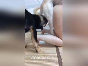 Unveiling Beast Tube's Hidden Depths