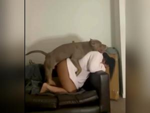 Exploring Female Canine Zoophilia Through Art