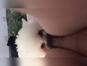 Bestiality sex scene with a young Asian woman and a dog