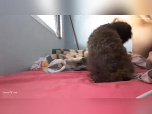 Latina Teen and Her Best Friend on All Fours - Bestiality Sex Video