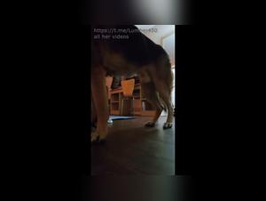 dogfuckersdogfuckdogfucker