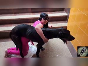 unveiling zoophilic extremes