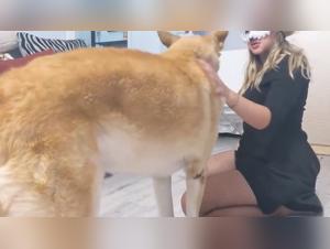 The Slut Gets Covered by a Cat Mask