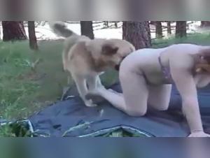 Mature woman and dog: a bestial initiation