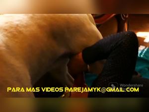 kyb forbidden love stories