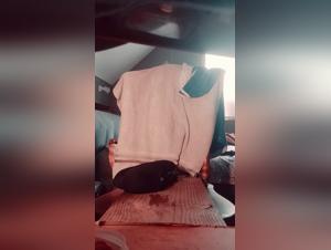 Bestiality Sex Video: Man and Dog