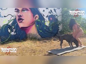 Unveiling the Allure of TickZoo