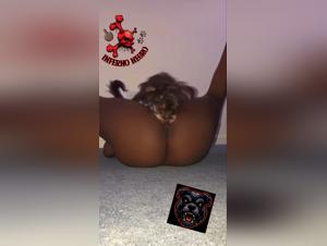 Perro Fea Enganza a la Prostituta Viciosa: Bixo Esquisito