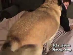 Amateur woman and her dog in a bestiality video