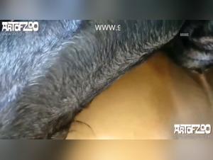 AOZ Kana and Her Sensual Adventure with a Dog