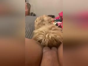 Video of Sex with a Dog