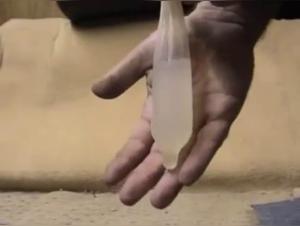 Sex scene with a dog: an extreme experience