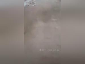 Bestiality Video: Intimate with a Dog