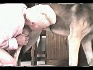 Woman and Dog: A Forbidden Relationship