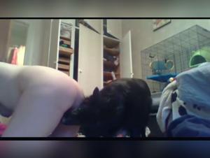 beastie gals and dogs