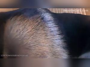 hund porno, tierische freuden