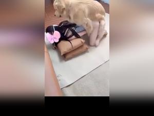 Unveiling Ethical Boundaries