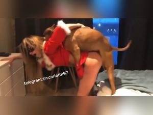 mon chien me baise avec fureur