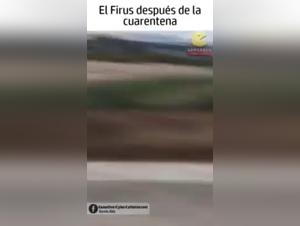 Woman and Dog: A Bestial Experience