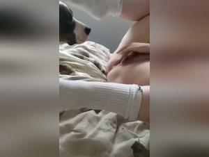 dogfuck sauvage : salope suce son chien en secret