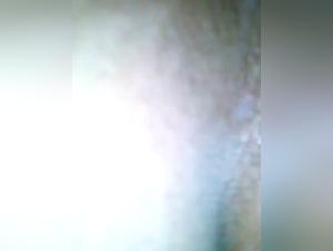 Ex-Girlfriend and Her Dog: A Bestial Encounter