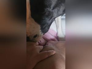 Coco ArtofZoo : Woman Fucks Dog