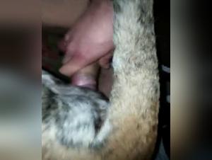 Salope baise son chien - Vidéo X