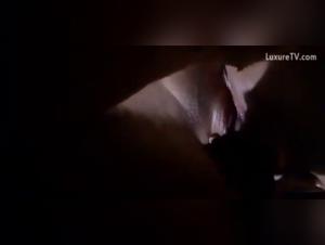 Woman and dog: a beastly encounter