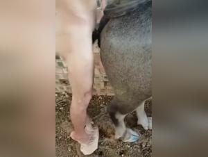 Buffalo Fucking Hardcore