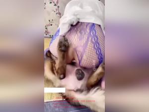 amateur asiatische hundefick video