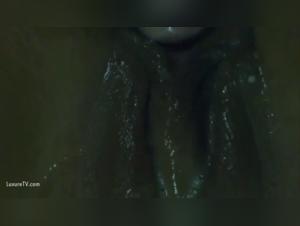 Slow exploration of zoophilic bestiality