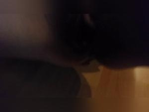 zootubex beastiegals