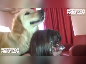 Obssessione Cane Bacio