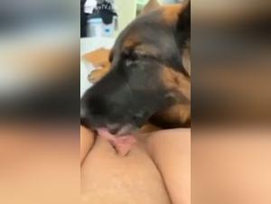 A beastly encounter: Woman and dog