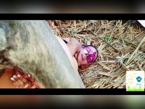 All women love watching a blonde woman get serviced by her dog in bed