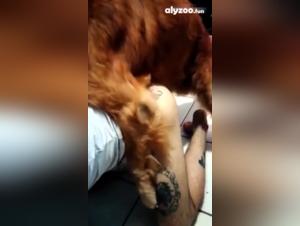 Woman Dog Sex Extreme Video