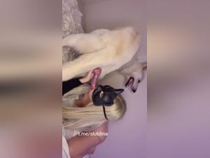 Dog BJ, animal blowjob addict