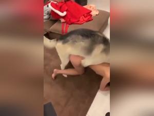 Zoophilia Video: A Woman and Her Dog