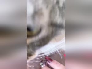 Gato lame coño : Parte 12