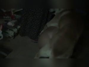 Horny brunette in bestial sex scenes