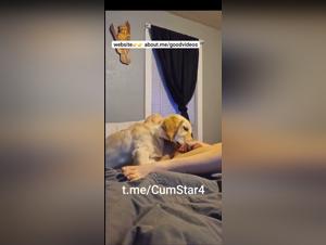 Girl fucks her dog live