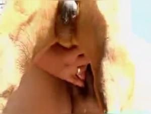 Beautiful Brazilian Training With Her Dog - Bestiality Sex Video