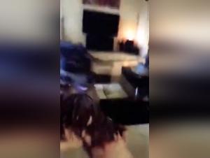 understanding k9 sex dynamics