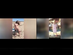 comparison gta vi vs zoo