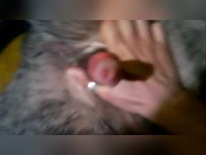 Tierischer Sex: Frau und Hund